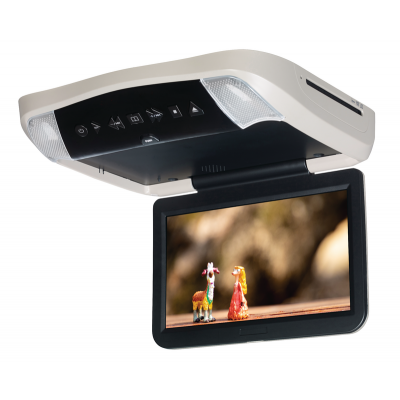 Overhead DVD and Video